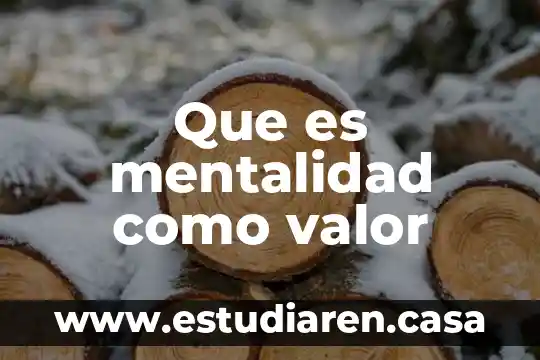 Civismo que es un valor 4 Que es mentalidad como valor