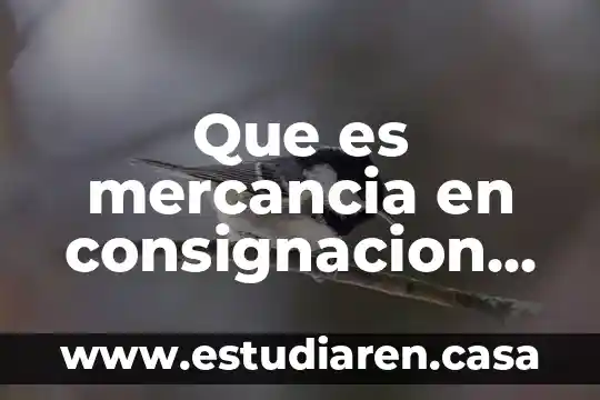Que es pago en consignacion 3 Que es mercancia en consignacion contabilidad