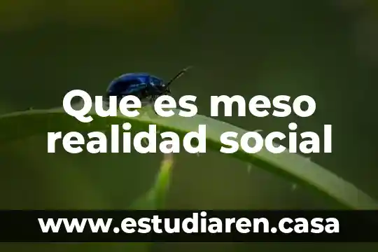 Que es meso realidad social