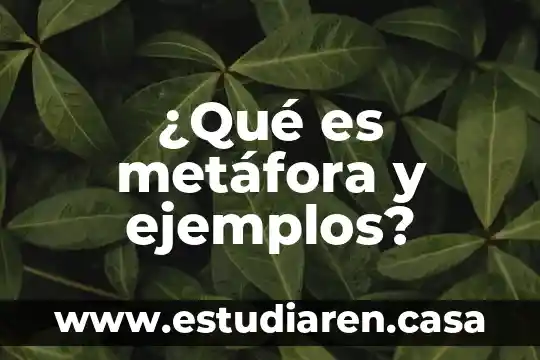 Qué es la metáfora explicada para niños 6 ¿Qué es metáfora y ejemplos?