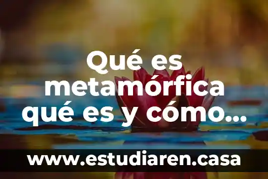 Que es la forma binaria en musica 4 Qué es metamórfica qué es y cómo se forma
