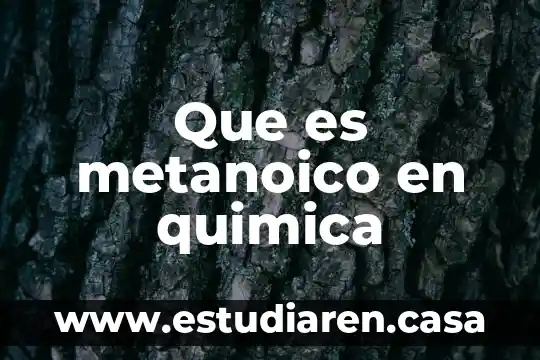 Que es metanoico en quimica