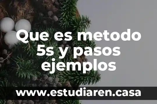 Ejemplos de que es campo 8 Que es metodo 5s y pasos ejemplos