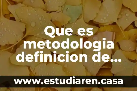 Que es inocuos definicion 8 Que es metodologia definicion de libro