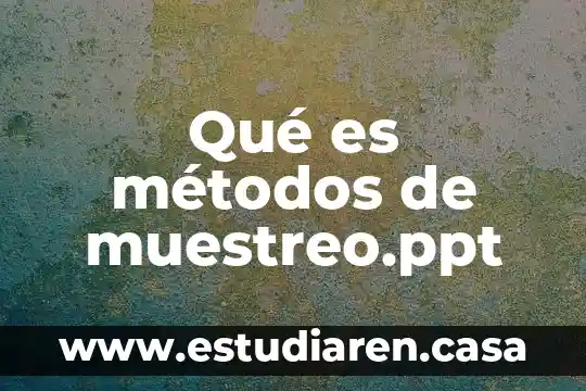 Qué es idu métodos anticonceptivos 3 Qué es métodos de muestreo.ppt