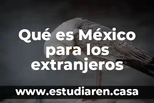Qué es México para los extranjeros