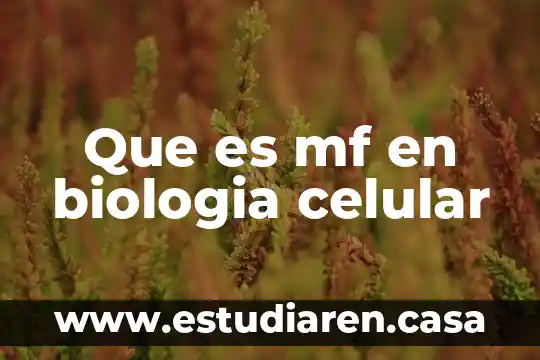 Que es mf en biologia celular