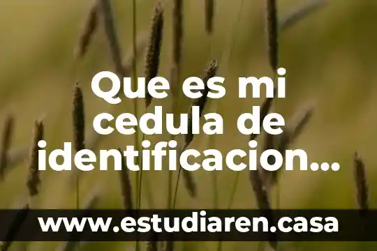 Que es mi cedula de identificacion fiscal