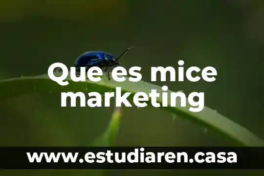 Que es green marketing y que no lo es 5 Que es mice marketing