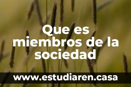 Qué es una sociedad guidens 4 Que es miembros de la sociedad