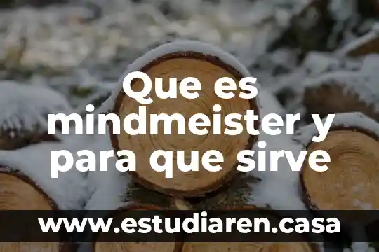 Que es mindmeister y para que sirve