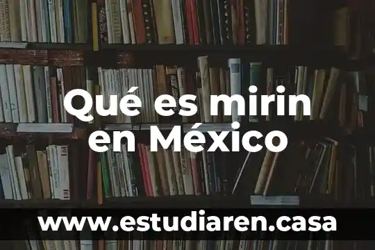 Que es gestionar proyectos 3 Qué es mirin en México