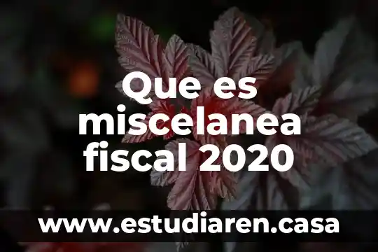 Que es miscelanea fiscal 2020