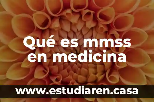 Que es causa en medicina 7 Qué es mmss en medicina
