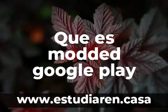 Que es modded google play