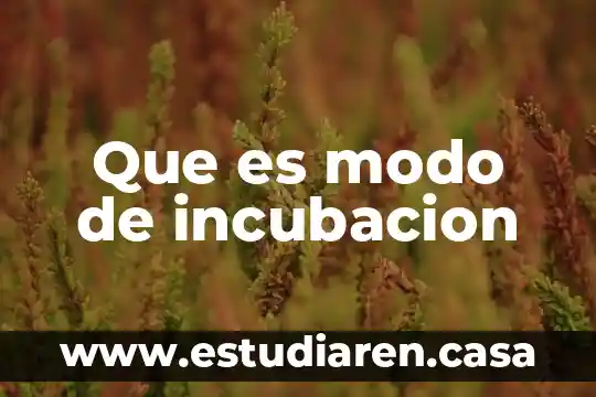 Que es modo de incubacion 10 Que es modo de incubacion