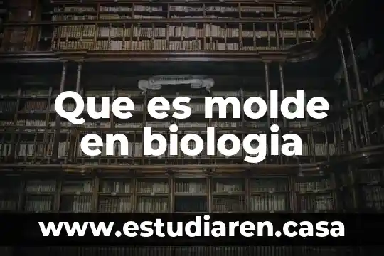 Qué es la bioteica en biología 7 Que es molde en biologia