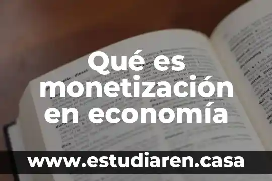 Qué es monetización en economía
