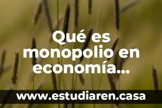 Que es el tamizado corto 4 Qué es monopolio en economía corto