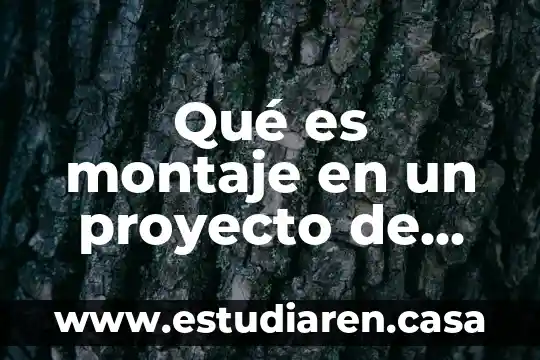 Que es un montaje de modelos 3 Qué es montaje en un proyecto de inversión