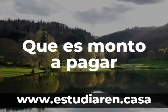 Que es monto a pagar