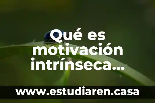 Que es programacion orientada a objetos visual basic 8 Qué es motivación intrínseca según la UADY o académica orientada