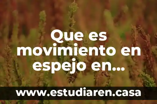 Qué es un espejo en matemáticas 5 Que es movimiento en espejo en danza