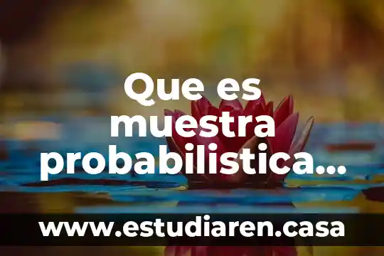 Qué es alimentarse unam 7 Que es muestra probabilistica unam