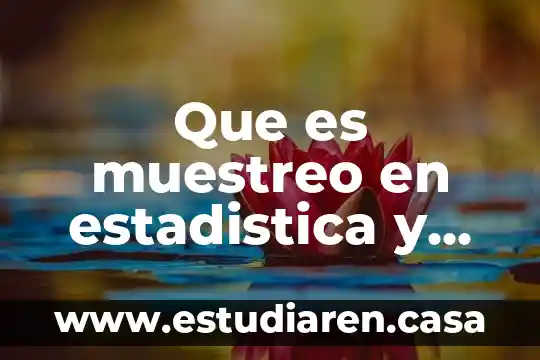 Que es muestreo en estadistica y tipos
