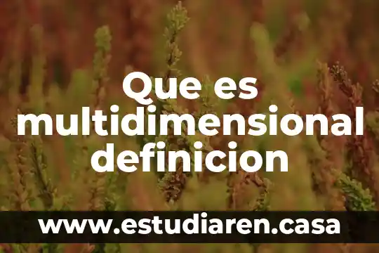 Que es ñame definicion 4 Que es multidimensional definicion