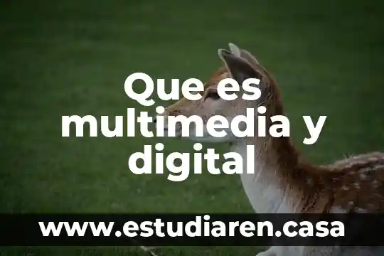 Que es multimedia y digital