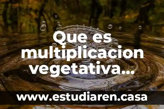 Que es multiplicacion vegetativa yahoo