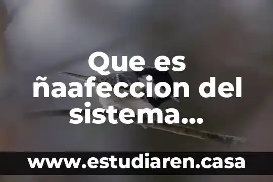 Que es el sistema nervioso para niños de preescolar 8 Que es ñaafeccion del sistema nervioso
