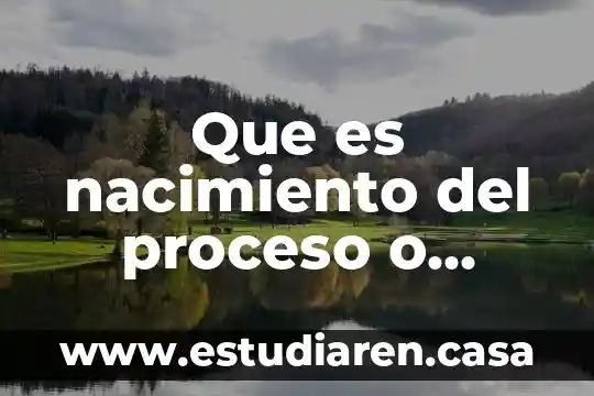 Que es resumen de incidencia para el acta de nacimiento 5 Que es nacimiento del proceso o sistema