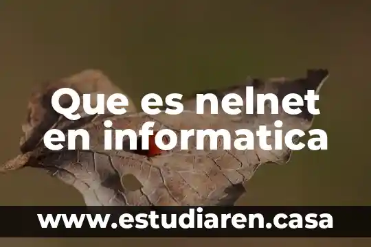 Que es nelnet en informatica