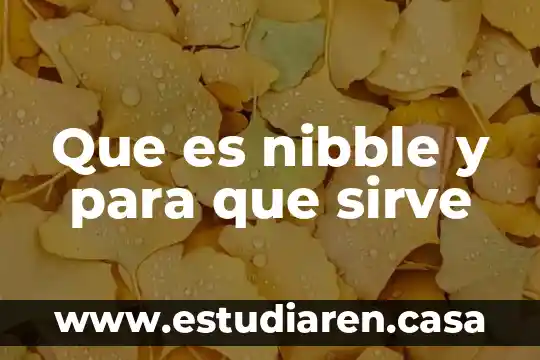 Que es tiempo en fuerza 5 Que es nibble y para que sirve