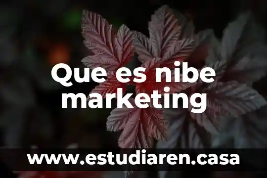 Que es nibe marketing