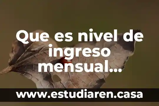 Que es nivel de ingreso mensual personal