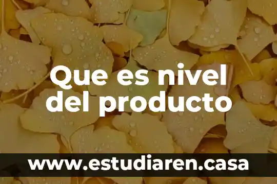 Que es nivel del producto