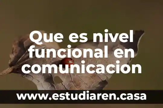 Maquetacion de bajo nivel que es 4 Que es nivel funcional en comunicacion