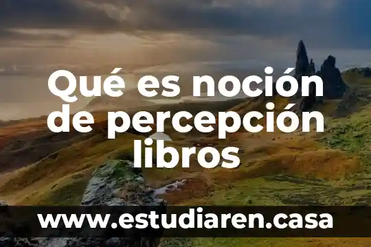 Libros sobre qué es el arte 3 Qué es noción de percepción libros