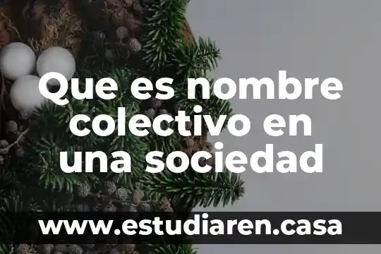 Que es nombre colectivo en una sociedad