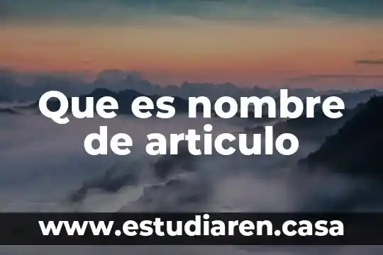 Que es nombre de articulo