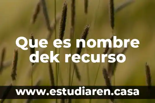 Que es nombre dek recurso