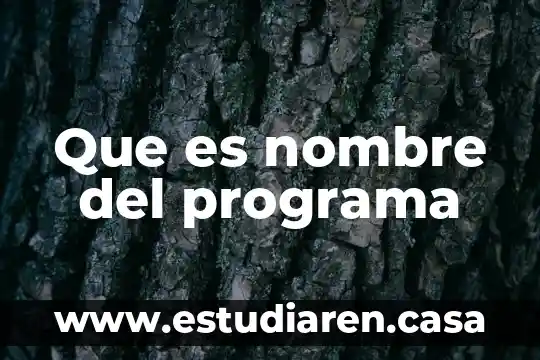 Que es nombre del programa
