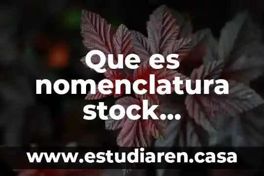 Contabilidad tradicional que es 3 Que es nomenclatura stock tradicional y sistémica