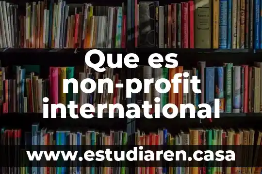 Que es non-profit international 19 Que es non-profit international