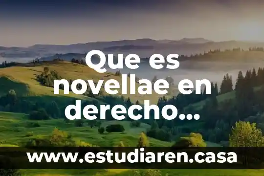 Que es novellae en derecho romano