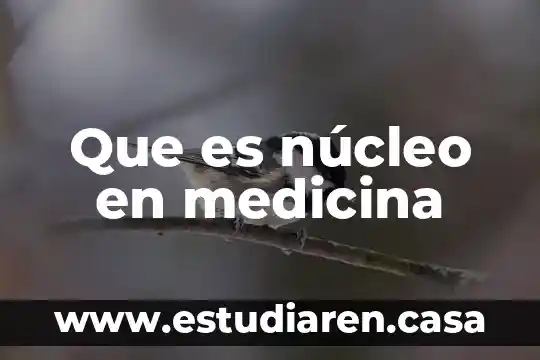 Que es núcleo en medicina