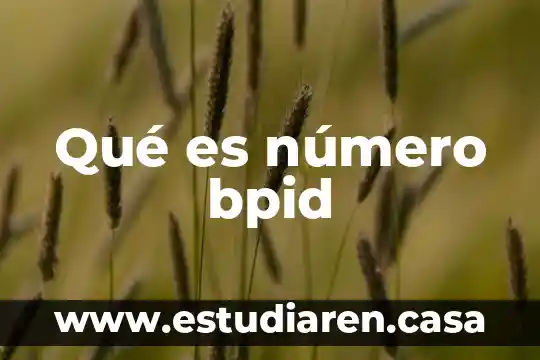 Alguien sabe que es el numero 3 Qué es número bpid